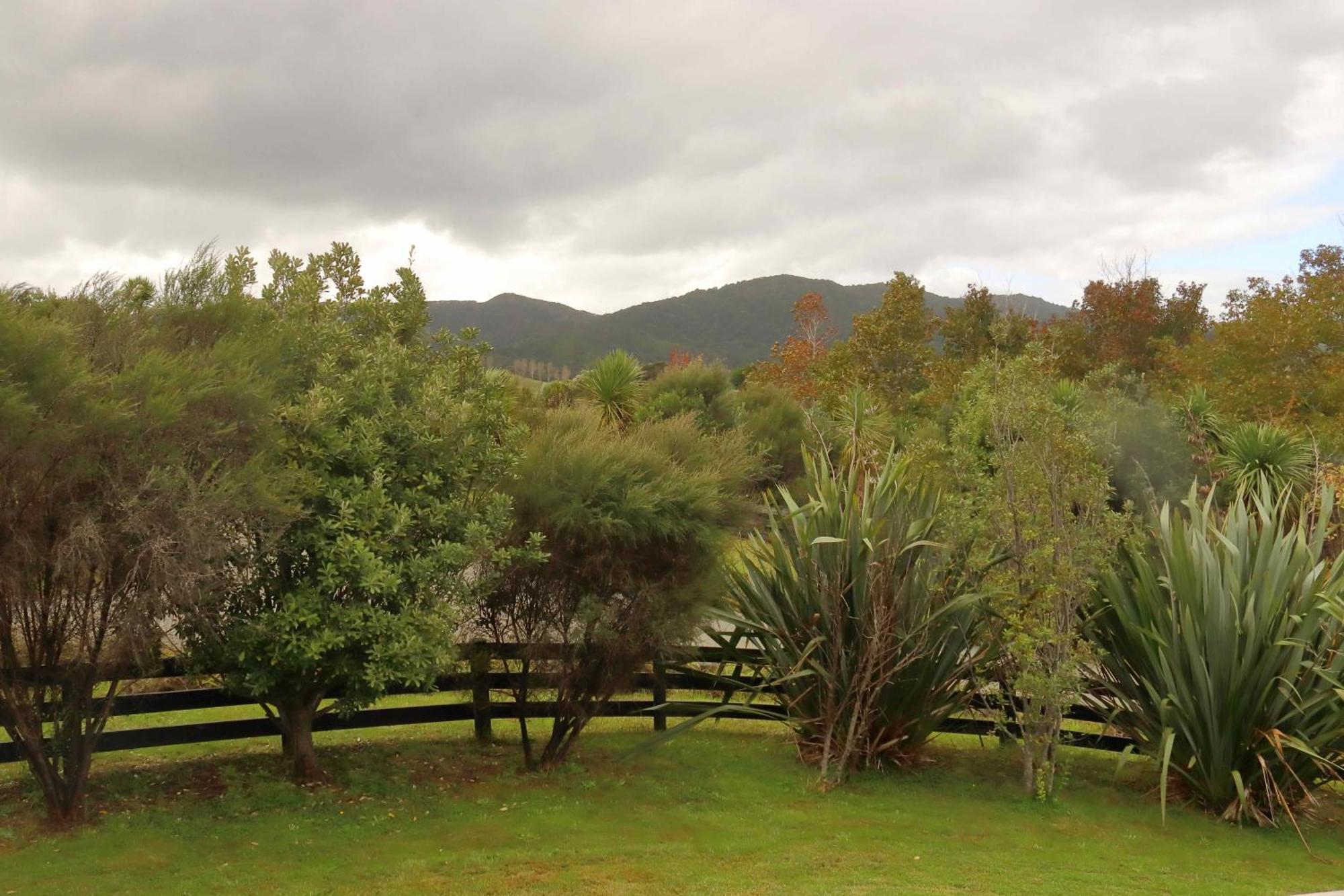 The Stargazer - Mangawhai Heads Holiday Home Exterior photo